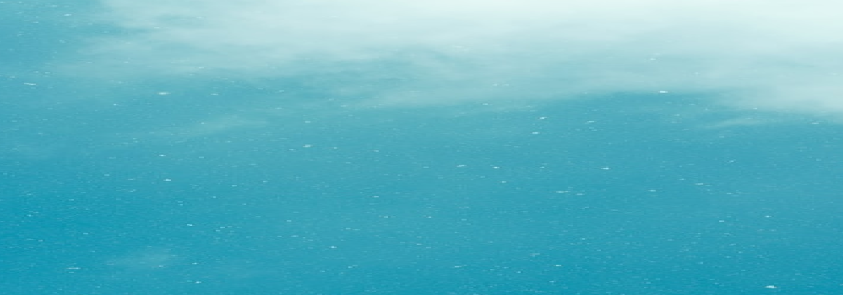 User Banner